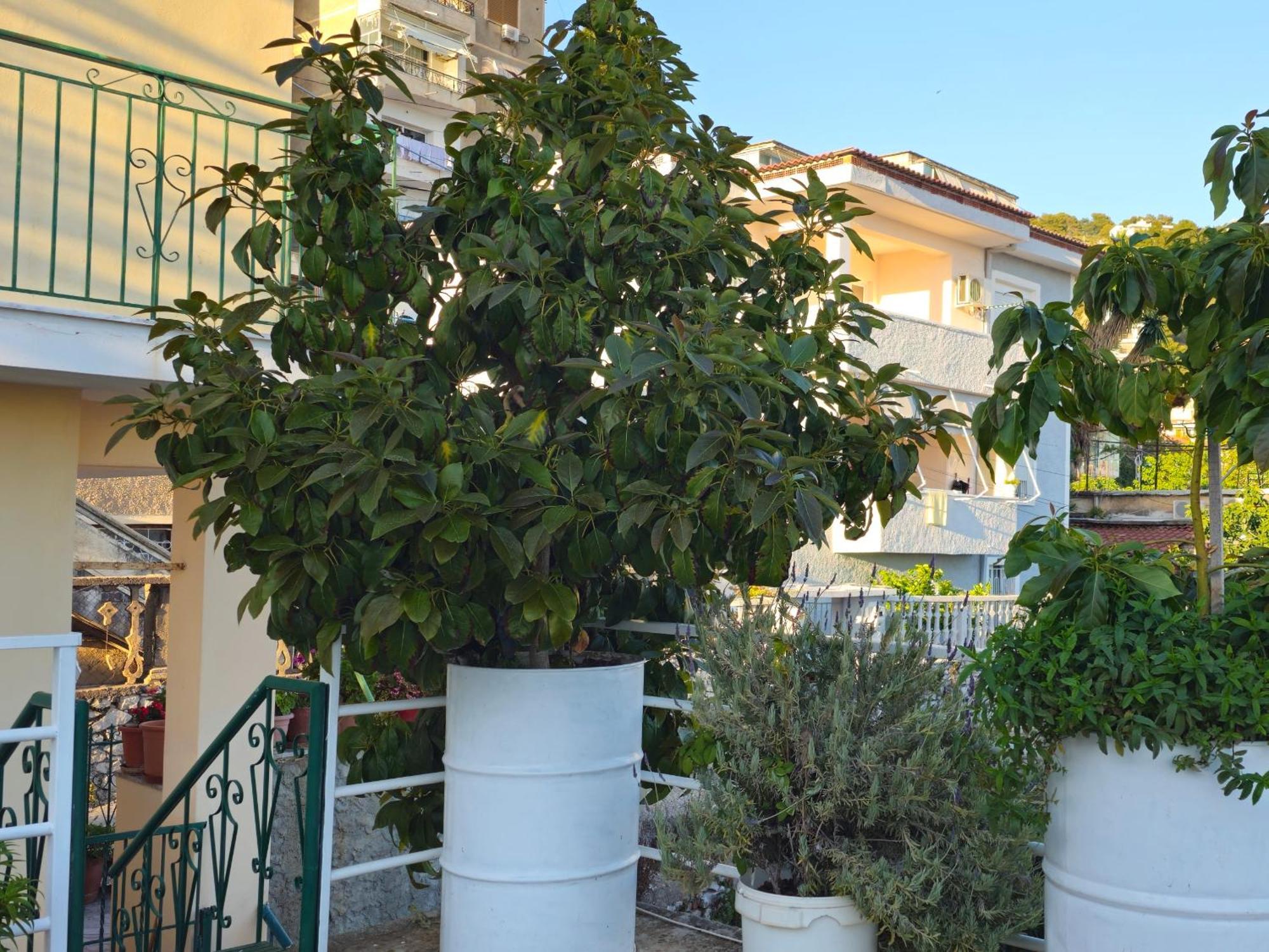 Joen Apartments Sarandë Exteriér fotografie